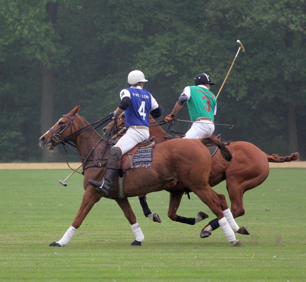 Polo_Art   018.jpg